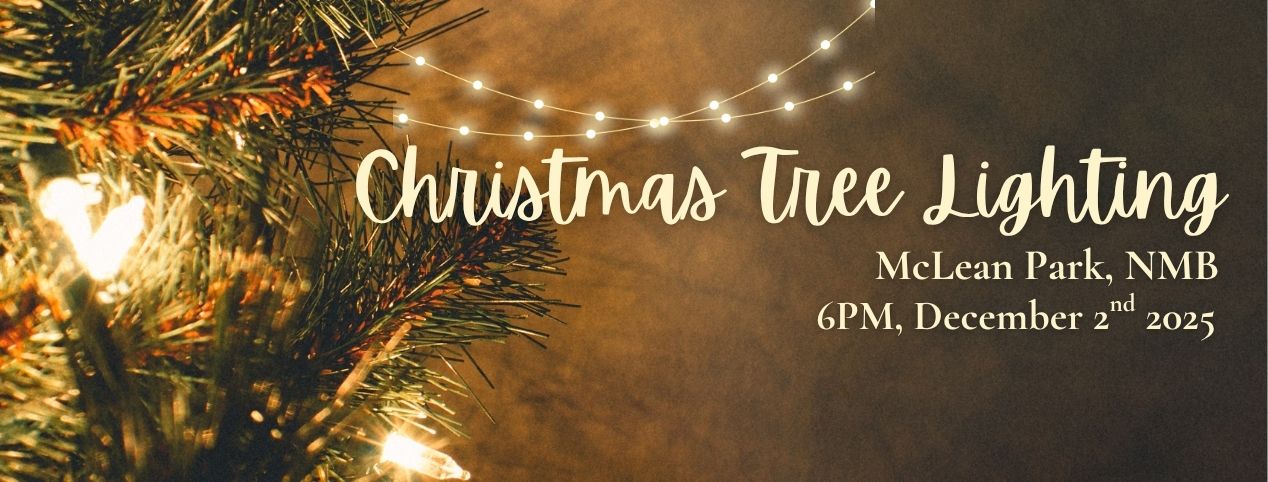 Christmas Tree Lighting at McLean Park