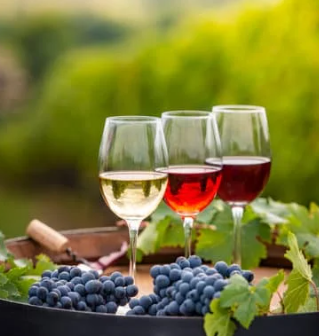 La Belle Amie Vineyard
